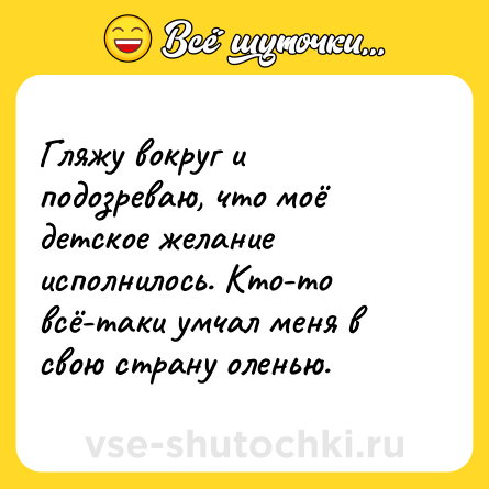 Шутка: Гляжу вокруг и подозреваю, что моё детское желание исполнилось. Кто-то всё-таки умчал меня в свою страну оленью.