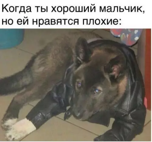 Смешная картинка №262586