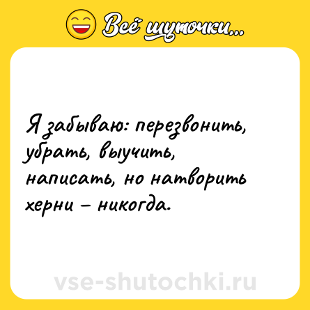Шутка: Я забываю: перезвонить, убрать, выучить, написать, но натворить херни никогда.