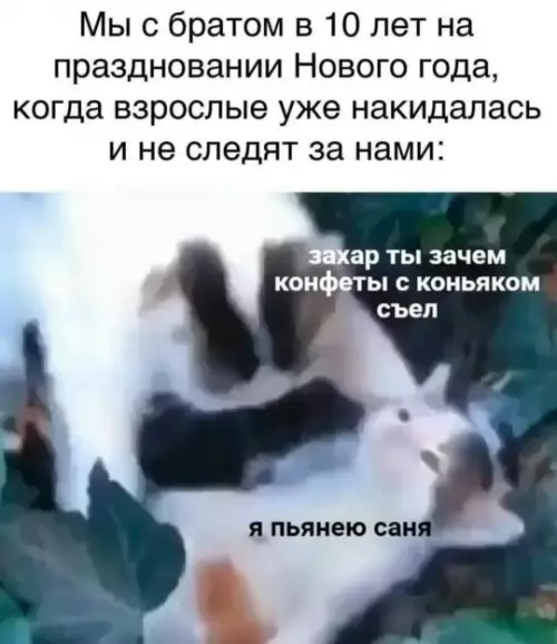 Смешная картинка №792542