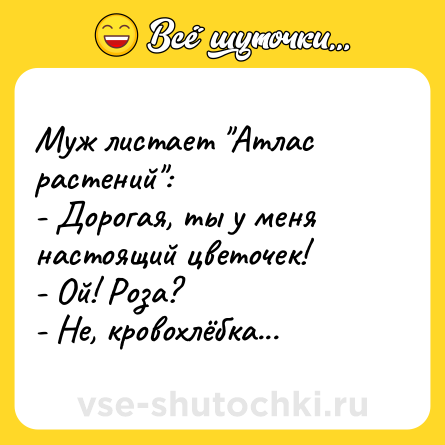 Шутка: Муж листает 
