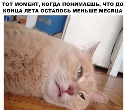 Смешная картинка №294632