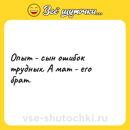 Шутка: Опыт - сын ошибок трудных. А мат - его брат.