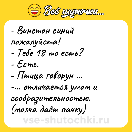 Шутка: - Винстон синий пожалуйста! <br>- Тебе 18 то есть?<br>- Есть.<br>- Птица говорун ...<br>-... отличается умом и сообразительностью.<br>(молча даёт пачку)