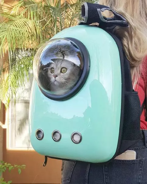 Смешная картинка №176315 С днём КОТмонавтики :3 коты