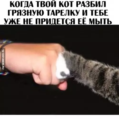 Смешная картинка №297757