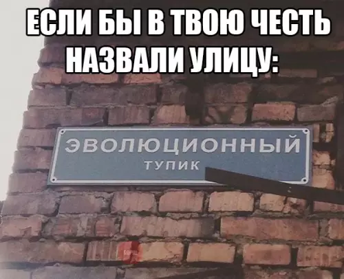 Смешная картинка №261533
