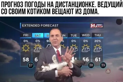 Смешная картинка №487050 Он еще и без штанов 100%
