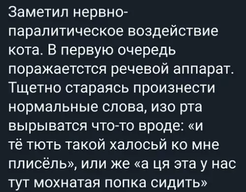 Смешная картинка №665631