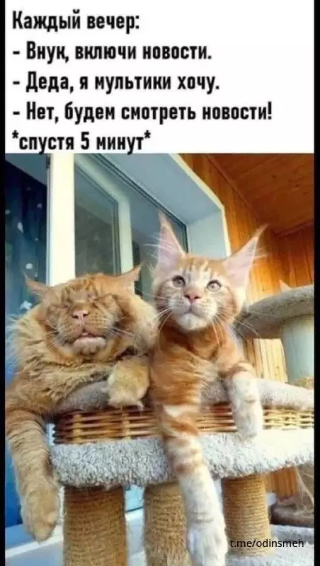 Смешная картинка №662501