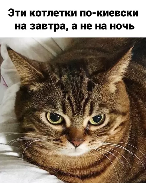 продолжение Смешная картинка №568877