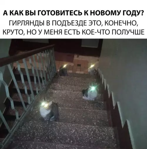 Смешная картинка №313939