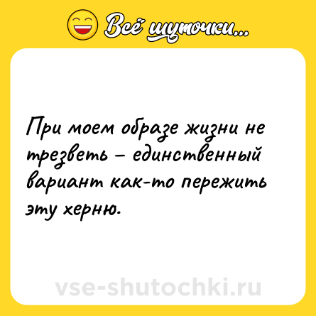 Шутка: При моем образе жизни не трезветь – единственный вариант как-то пережить эту херню.