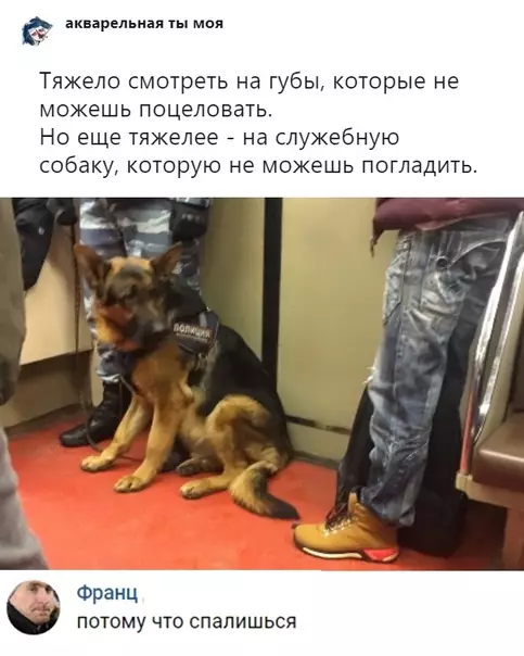 Смешная картинка №328235
