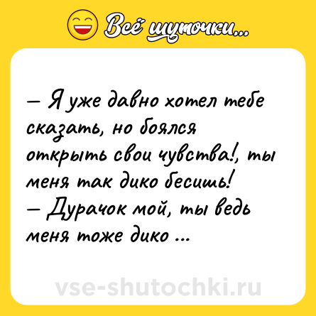 Шутка: — Я уже давно хотел тебе сказать, но боялся открыть свои чувства!, ты меня так дико бесишь! <br>— Дурачок мой, ты ведь меня тоже дико бесишь!