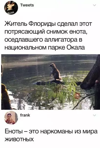 Смешная картинка №278763