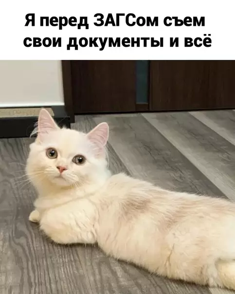 продолжение Смешная картинка №568051