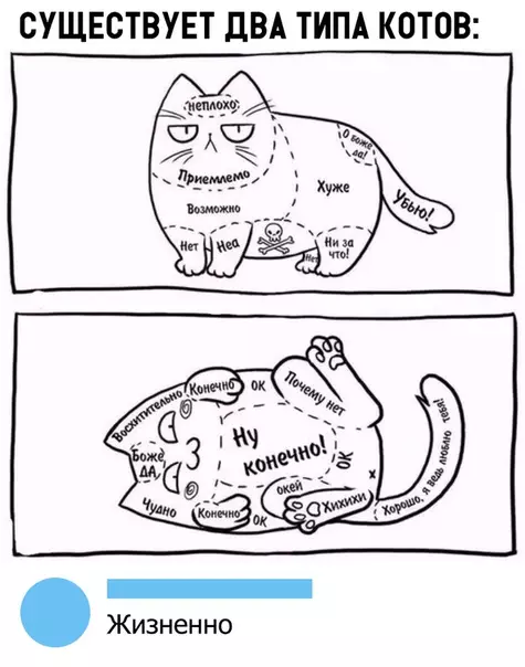 Смешная картинка №332000
