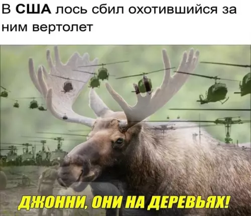 Смешная картинка №355015