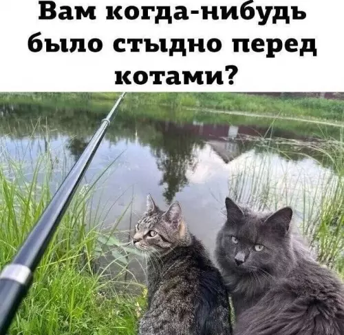 Смешная картинка №730212 Ну и где рыба? рыбалка