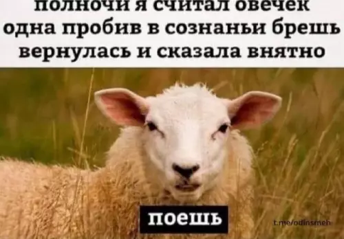 Смешная картинка №685324