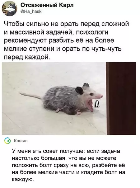Смешная картинка №542986 Очень актуальная рекомендация