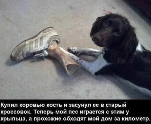 Смешная картинка №453938 Это гениально! ?