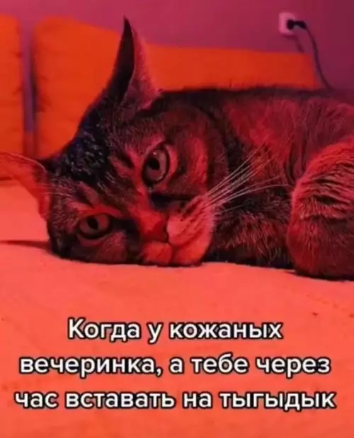 Смешная картинка №697061