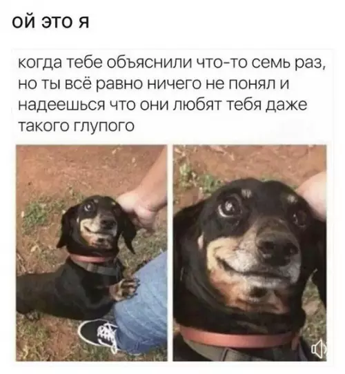 Смешная картинка №267220
