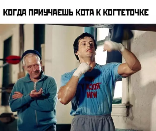 Смешная картинка №763226