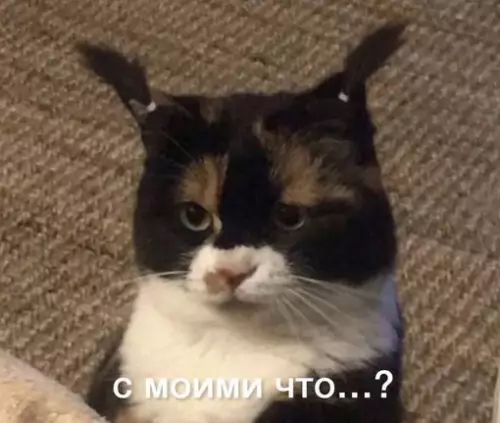 Смешная картинка №716603 я люблю тебя со всеми твоими недостатками