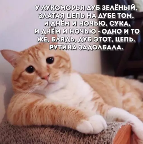 Смешная картинка №297025