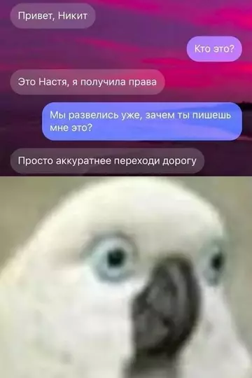 Смешная картинка №748947 Осторожней
