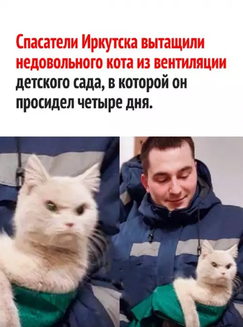 Смешная картинка №670333