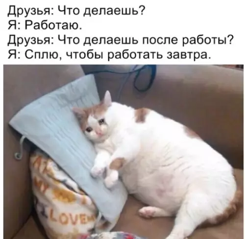 Смешная картинка №328013 День сypка реальней, чeм ты думaл.