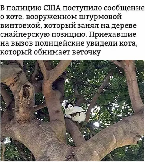 Смешная картинка №487317 Звонили какие-то докладчики