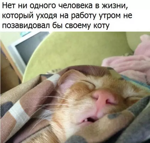Смешная картинка №183533