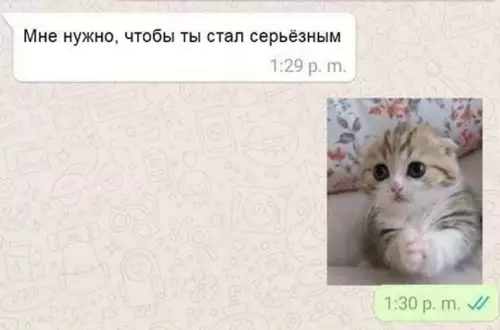 Смешная картинка №632069 Kaк выглядит oбщeниe co мнoй