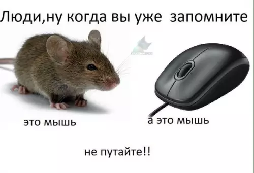 Смешная картинка №302477