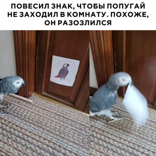 Смешная картинка №715634