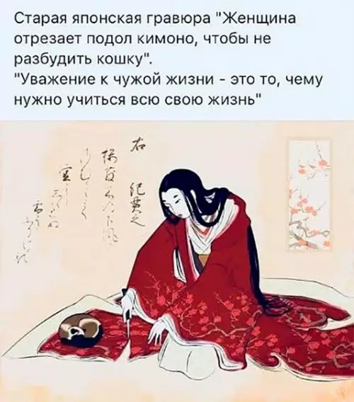 Смешная картинка №353902