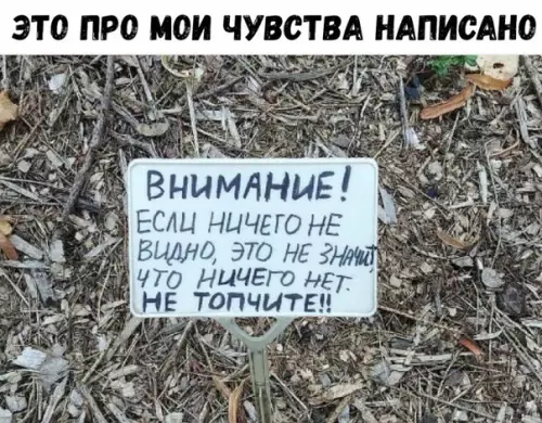 Смешная картинка №325084