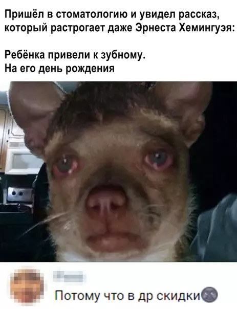 Смешная картинка №359134