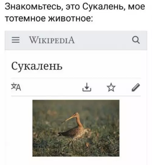 Смешная картинка №501020 Да да, это про меня