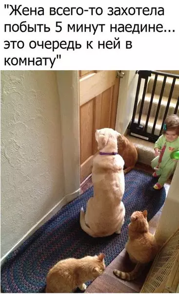 Смешная картинка №209928