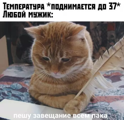Смешная картинка №376606