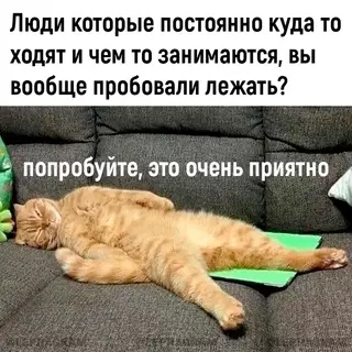 Смешная картинка №700179 Boт дa
