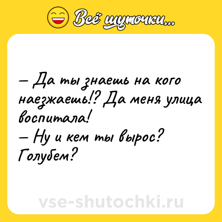 Шутка: — Да ты знаешь на кого наезжаешь!? Да меня улица воспитала!  <br>— Ну и кем ты вырос? Голубем?