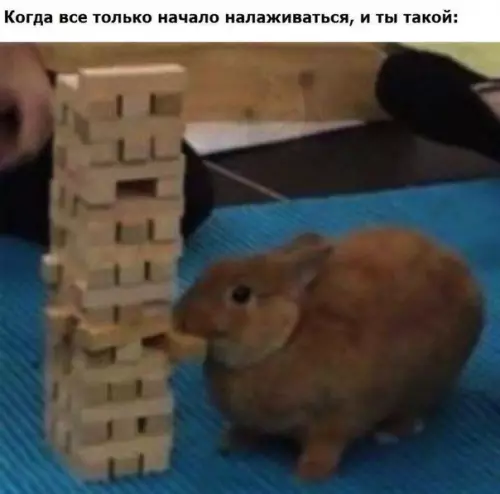 Смешная картинка №278891