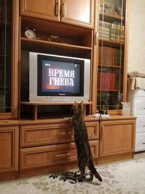 Смешная картинка №791809 Дождался